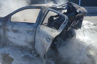 Makabryczny wypadek na S8 pod Wyszkowem