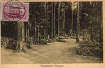 Olsztyńskie cmentarze na dawnych zdjęciach. Tak nekropolie wyglądały ponad 100 lat temu