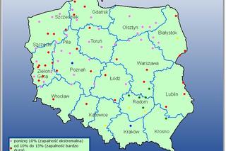 Wzrost zagrożenia pożarowego w lasach. Najgorzej na północy