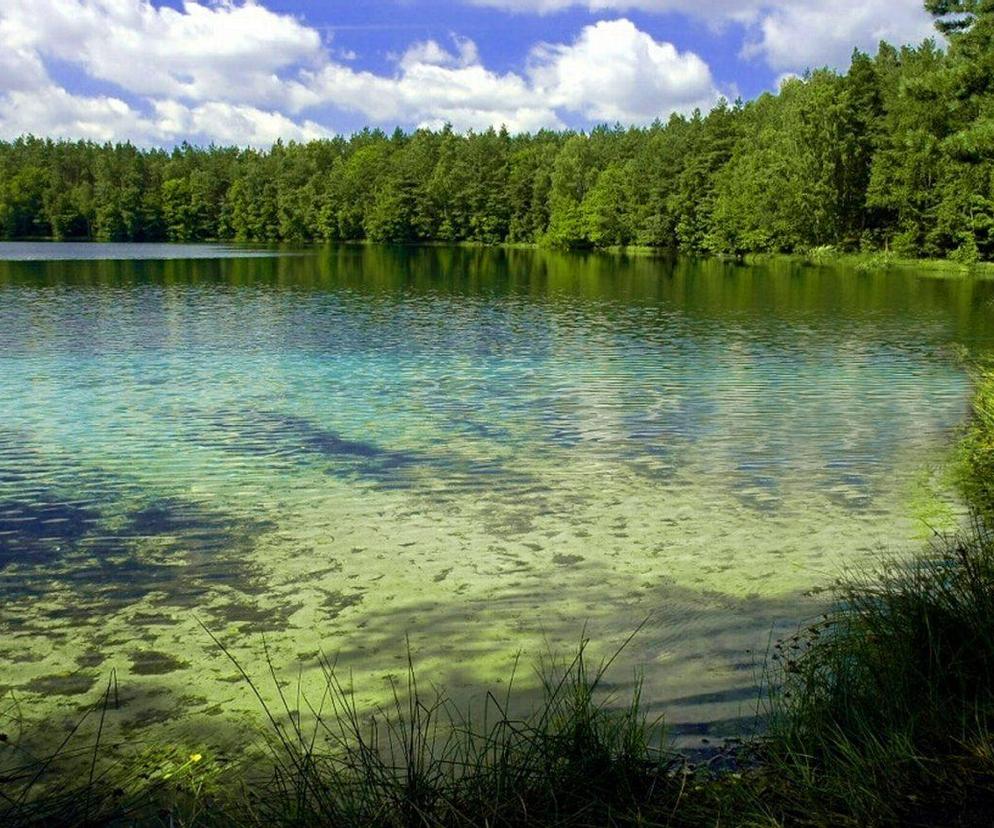   Jezioro Jasne. Zobacz najbardziej przejrzyste jezioro w Polsce