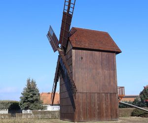 Wiatrak-koźlak w Koźminie Wielkopolskim