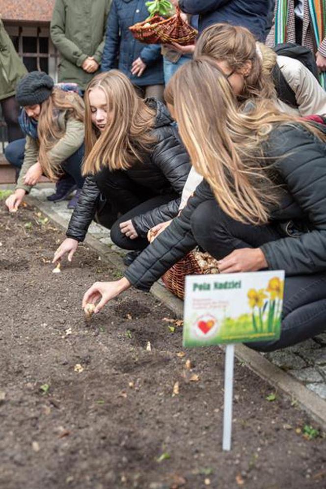 Fundacja "Pomóż Im". Po raz dziesiąty zaczęli siać Pola Nadziei [ZDJĘCIA]