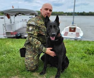 Szkolenie psów policyjnych nad Zalewem Zemborzyckim