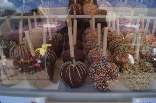 Food Truck Festivals 2023 w Bydgoszczy. Wyjątkowe restauracje zaparkowały pod Torbydem [ZDJĘCIA]