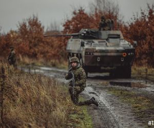 Obrona kraju w sercach Polaków? Większość za armią zawodową, ale chce szkoleń wojskowych