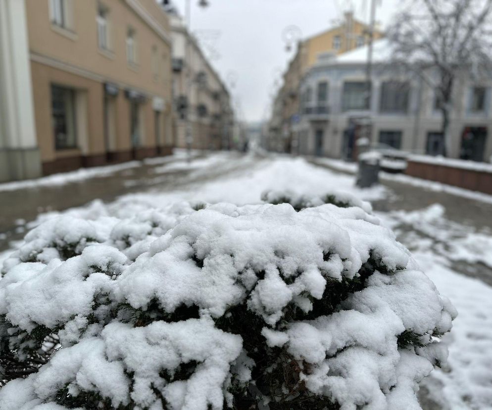 Zima w Świętokrzyskiem . Kielce (22.11.2024)