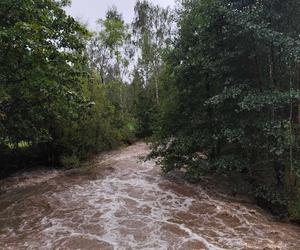 Ewakuacja mieszkańców w Lądku-Zdroju. Wylała rzeka Biała Lądecka