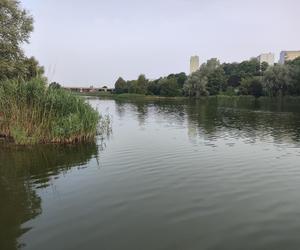 Podsumowanie działań rekultywacyjnych na jeziorze Winiary