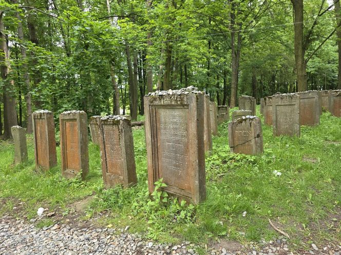 Cmentarz żydowski w Leżajsku