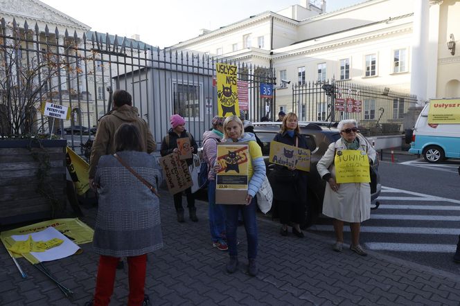 Wielki protest przez ratuszem. Wolontariusze walczą o życie kotów