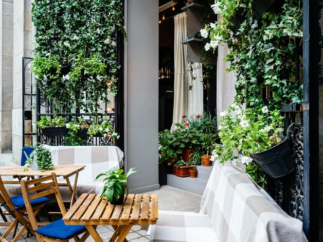 Balkon na parterze - zielone osłony
