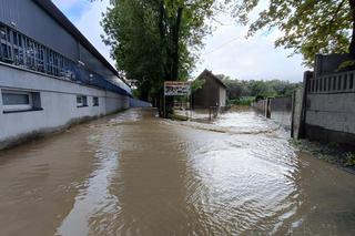 Prudnik. Sytuacja powodziowa gorsza niż w 1997 r. [ZDJĘCIA]