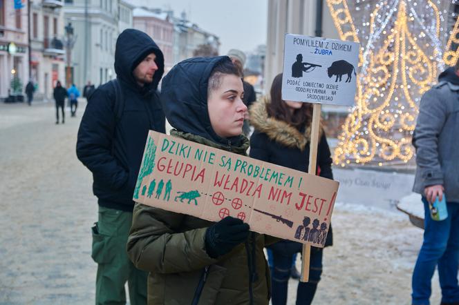 Lublin: Protest w obronie dzików. „Nie dla myśliwych”