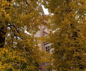 Pałac Schoena w Sosnowcu stanie się muzeum