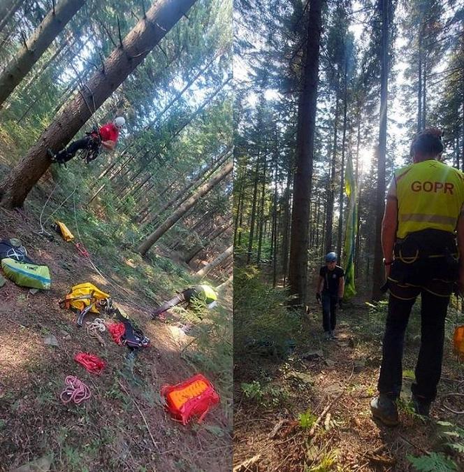 Przez 1,5 godziny wisiała na drzewie i nie mogła zejść. Kobiecie pomogli goprowcy