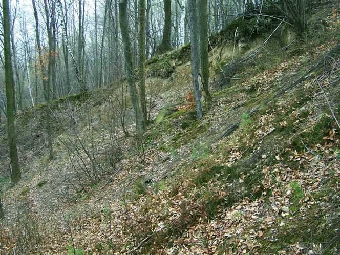  To jedna z najpiękniejszych wsi w Małopolsce. Założono w niej zbór braci polskich