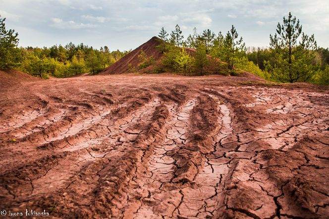 Czarniecka Góra - klimatyczna wieś w Świętokrzyskiem