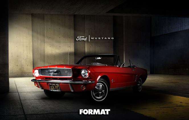 Jak wykreować idealny wizerunek swojego biznesu? Możesz mieć reklamę na czym tylko chcesz!