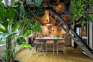 Styl biophilic – jak urządzić dom według jego zasad