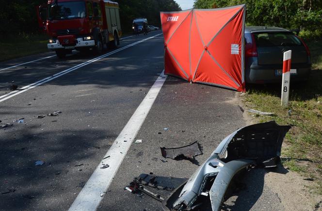 Tragedia na trasie Toruń - Bydgoszcz, znamy pierwsze ustalenia policji