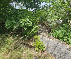 Odwiedziłam jeden z piękniejszych powiatów na Mazurach. To prawdziwy „szlak bunkrowy”