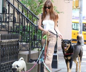 Te psy skradły serca gwiazd! 