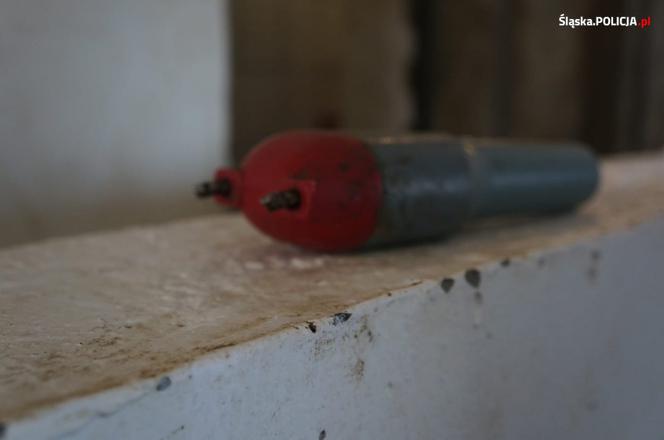 Zagłodzone i brudne konie były niehumanitarnie mordowane? Policjanci skontrolowali hodowlę w Wodzisławiu Śląskim [ZDJĘCIA]