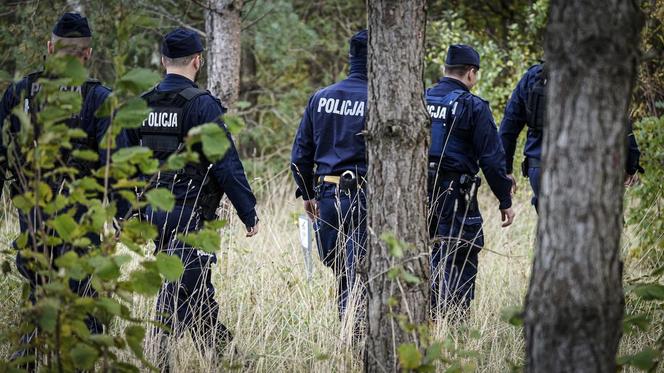 Zakaz wchodzenia do lasu. Ma to związek z Grzegorzem Borysem