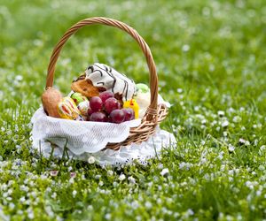 Koszyczek wielkanocny dla dzieci: Co włożyć, by tradycji stało się zadość?