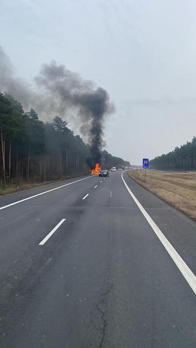 Pożar na obwodnicy w Toruniu. Płonęło auto