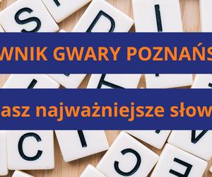 Oto najważniejsze słowa gwary poznańskiej. Znasz je?