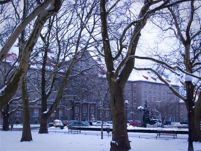 Zima w Szczecinie