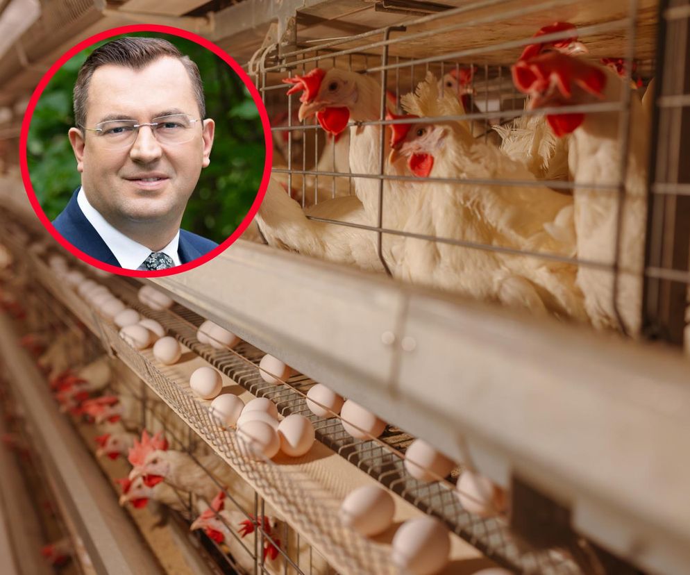 Polski drób wraca do Chin. Umowa otwiera rynek wart miliony