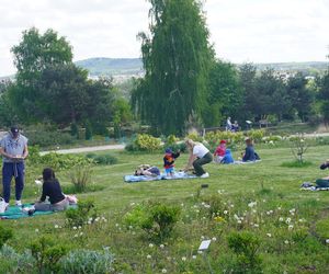 Ogród Botaniczny w Kielcach