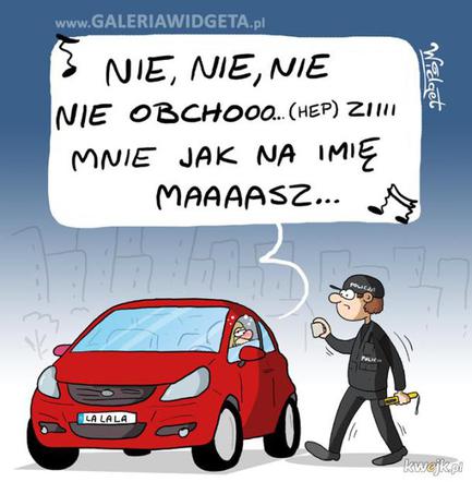 MEMY o Beacie Kozidrak