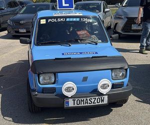 50-lecie malucha na amerykańskim zlocie