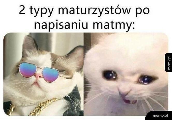 Memy matura