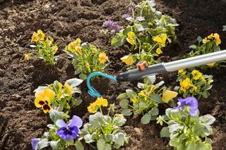 Jak zagospodarować działkę ROD?