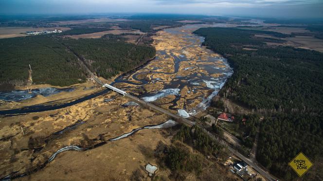 Rozlewiska rzeki Narew. Niesamowite zdjęcia z drona [ZDJĘCIA]