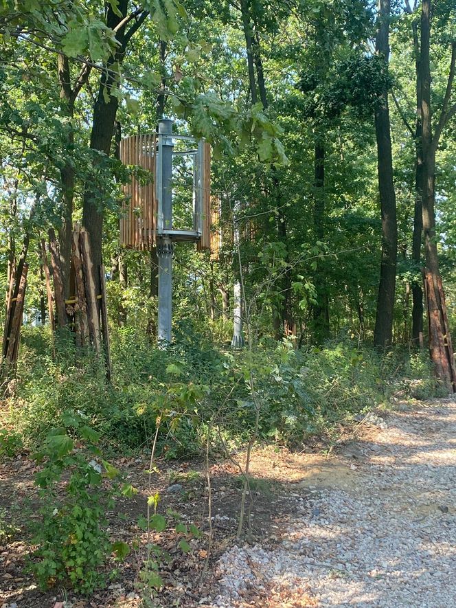 Park Żerański w Warszawie