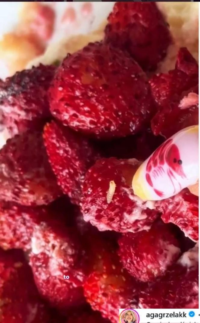 Influencerka kupiła viralową drożdżówkę za 59 zł. To, co w niej znalazła mocno ją zaskoczyło