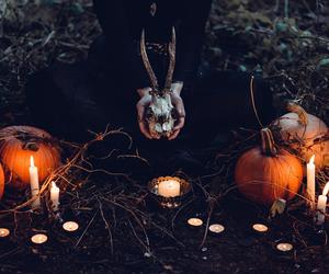 Halloween w Warszawie: Odwiedź przerażającą farmę strachu z wioską czarownic! 