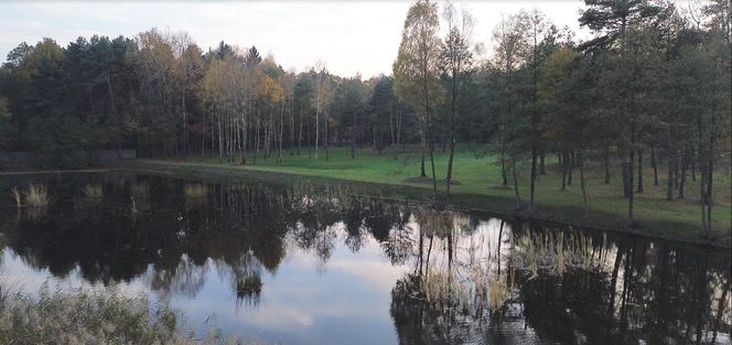 Idealne miejsce na jesienny spacer w Śląskiem - Kamień 