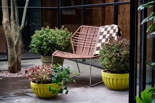 Rośliny na tarasie