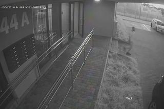 Uszkodził zaparkowane BMW. Szuka go policja