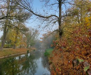 Zamojski Park jesienią