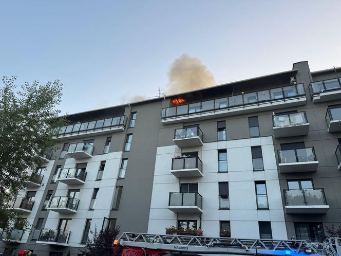 Pożar przy ul. Krańcowej w Poznaniu. Strażacy: "To była trudna noc" [ZDJĘCIA]