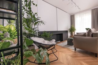 Zielona dżungla w warszawskiej kawalerce. Zobacz, jak sprytnie ją urządzili 