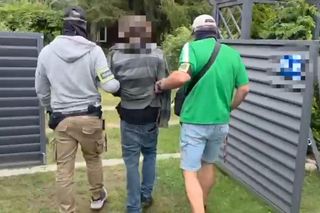 Działkowiec z Piaseczna obok pomidorów sadził marihuanę. Plantacja w rękach policji