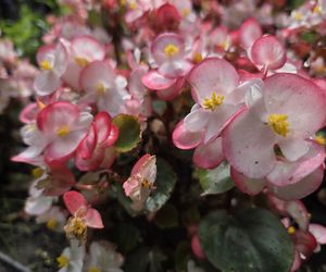 Spacer przez muzyczne serce Bydgoszczy. Park Kochanowskiego zachwyca historią i klimatem